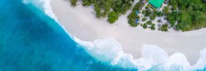Shifaaz Shamoon Rl9L9Ml6Pvs Unsplash